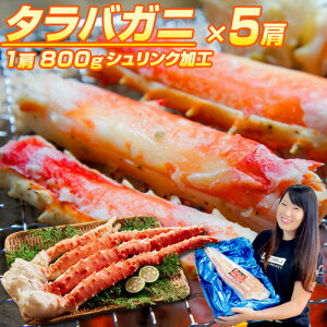 y 12.5~ ` 16~ ^ g z^oKj 1 800g O | ^oKj ^oI ^o  VN VN I Jj  ΂ ɋr Jjr Jj I O ^oKj k