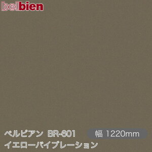 SܕtσV[g xrA BR-601 CG[oCu[V 1220mm×1mPʐؔ belbien ^LV[AC JbeBOV[g SV[g ̂tǎ CNV[g V[