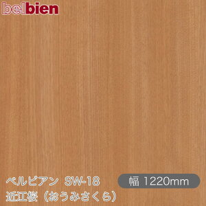 SܕtσV[g xrA SW-18 ߍ]i݂j 1220mm×1mPʐؔ belbien ^LV[AC JbeBOV[g SV[g ̂tǎ CNV[g V[g 