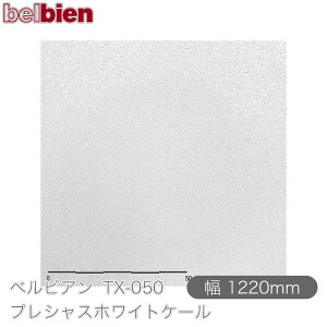 SܕtσV[g xrA TX-050 vVXzCgP[ 1220mm×50m[ belbien ^LV[AC JbeBOV[g SV[g ̂tǎ CNV[g V[
