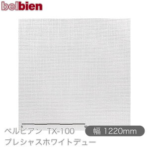SܕtσV[g xrA TX-100 vVXzCgf[ 1220mm×1mPʐؔ belbien ^LV[AC JbeBOV[g SV[g ̂tǎ CNV[g V[