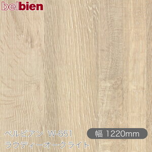 SܕtσV[g xrA W-651 EfB[I[NCg 1220mm×50m[ belbien ^LV[AC JbeBOV[g SV[g ̂tǎ CNV[g V[g 