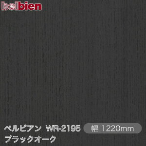 SܕtσV[g xrA WR-2195 ubNI[N 1220mm×50m[ belbien ^LV[AC JbeBOV[g SV[g ̂tǎ CNV[g V[g σtB