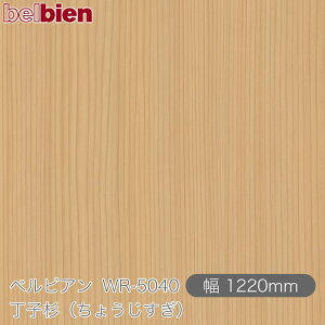 SܕtσV[g xrA WR-5040 qi傤j 1220mm×50m[ belbien ^LV[AC JbeBOV[g SV[g ̂tǎ CNV[g V[g 