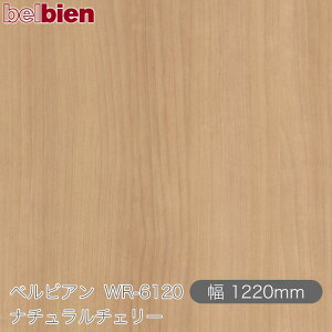 SܕtσV[g xrA WR-6120 i``F[ 1220mm×1mPʐؔ belbien ^LV[AC JbeBOV[g SV[g ̂tǎ CNV[g V[g 