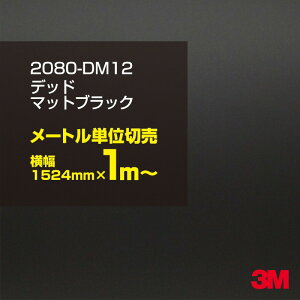 3M J[bsOtB  bsOV[g 2080-DM12 fbh}bgubN yW1524mm×1m`z 2080DM12 iԁF1080-DM12 }bg Ȃ Ȃ  J[bvtB DIY O  {lb