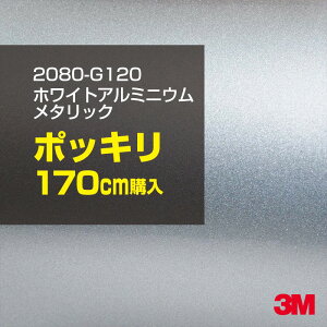 3M J[bsOtB  bsOV[g 2080-G120 zCgA~jE^bN yW1524mm×170cmz 2080G120 OX 򂠂   J[bvtB DIY O  {lbg X