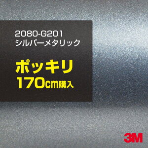3M J[bsOtB  bsOV[g 2080-G201 Vo[^bN yW1524mm×170cmz 2080G201 OX 򂠂   J[bvtB DIY O  {lbg X[G 