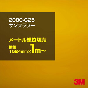 3M J[bsOtB  bsOV[g 2080-G25 Tt[ yW1524mm×1m`z 2080G25 iԁF1080-G25 OX 򂠂  یtB  CG[ J[bvtB DIY O 