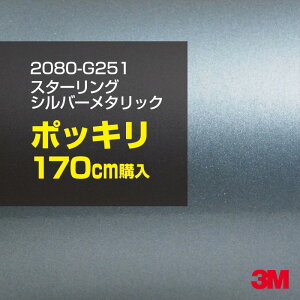 3M J[bsOtB  bsOV[g 2080-G251 X^[OVo[^bN yW1524mm×170cmz 2080G251 OX 򂠂   J[bvtB DIY O  {lbg X