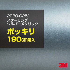 3M J[bsOtB  bsOV[g 2080-G251 X^[OVo[^bN yW1524mm×190cmz 2080G251 OX 򂠂   J[bvtB DIY O  {lbg X