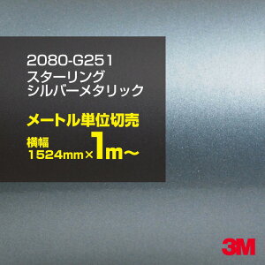 3M J[bsOtB  J[bsOV[g 2080-G251 X^[OVo[^bN yW1524mm×1m`z 2080G251 OX 򂠂   J[bvtB DIY {lbg X[G