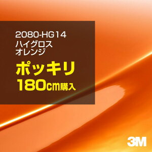 3M J[bsOtB  bsOV[g 2080-HG14 nCOX IW yW1524mm×180cmz 2080HG14 OX 򂠂  یtB  J[bvtB DIY O  {lbg X