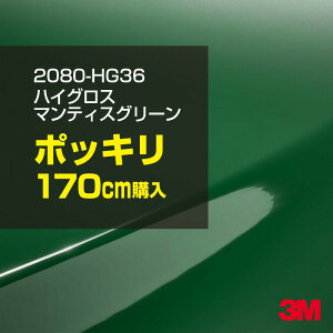 3M J[bsOtB  bsOV[g 2080-HG36 nCOX }eBXO[ yW1524mm×170cmz 2080HG36 OX 򂠂  یtB  J[bvtB DIY O  {