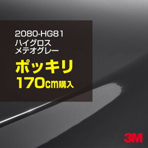 3M J[bsOtB  bsOV[g 2080-HG81 nCOX eIO[ yW1524mm×170cmz 2080HG81 OX 򂠂  یtB  J[bvtB DIY O  {lb