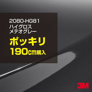 3M J[bsOtB  bsOV[g 2080-HG81 nCOX eIO[ yW1524mm×190cmz 2080HG81 OX 򂠂  یtB  J[bvtB DIY O  {lb