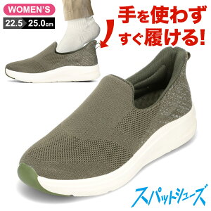 Z_[NXg CEDAR CREST CC-2506 fB[XC C V[Y 2E Xj[J[ Xb| XbvI XpbgV[Y nYt[ ܂ g킸ɗ XpbƗ {