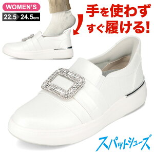 Z_[NXg CEDAR CREST CC-3501 fB[X C V[Y 3E Xj[J[ JWA Xpbg V[Y h  h hL J [JbgXj[J[ g킸ɗ lC uh V