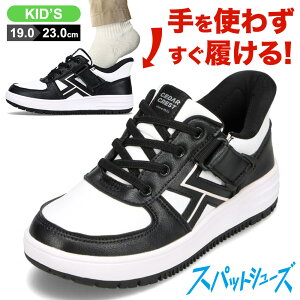 Z_[NXg CEDAR CREST CC-3126 LbYC qC C V[Y 2E Xj[J[ Xpbg V[Y LbY ^C g킸ɗ EȒP [JbgXj[J[ lC uh ub