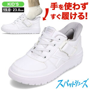 Z_[NXg CEDAR CREST CC-3126 LbYC qC C V[Y 2E Xj[J[ Xpbg V[Y LbY ^C g킸ɗ EȒP [JbgXj[J[ lC uh zC