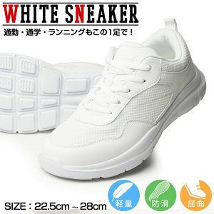 Xj[J[ YXj[J[ wC XN[V[Y ʊwC h y X|[cV[Y jOV[Y ʋC bV EH[LOV[Y  ^C C YV[Y/2025