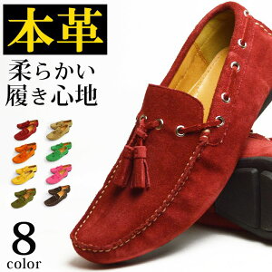 ԌySALEACezyzhCrOV[Y Y {v [t@[ Xb| fbLV[Y XG[h JV ^bZ vC y h NbVC\[ Xj[