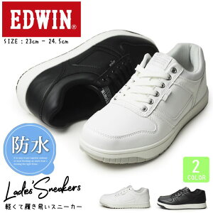yzEDWIN GhEB Xj[J[ fB[X h JWAV[Y y h JWAXj[J[ RtH[gV[Y X|[c ʋ ʊw q EH[LO C fB[X