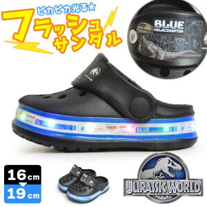 yubNtCf[聜SiPT5{zWVbN[h T_ LbY 2WAY T_  NbO T{T_ AEghAT_ r[`T_ tbVT_ T-REX 