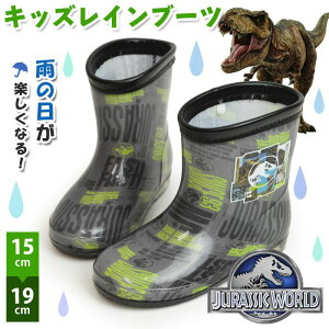 WVbN[h LbY Cu[c h V[Y q C WjA  y CV[Y j̎q ̎q nCJbg ̑n T-REX LN^[ w C ʊw JC y