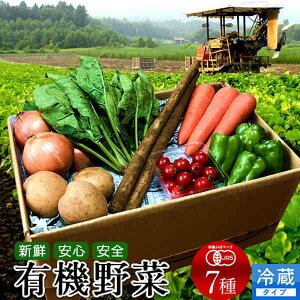 日本の有機野菜セット 旬のおまかせ7種類 全国ご当地生産者のこだわり有機栽培 ベジタブル スムージー 野菜材料【送料無料】父の日 ギフト