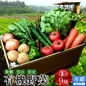 日本の有機野菜セット 旬のおまかせ9種類 全国ご当地生産者のこだわり有機栽培 ベジタブル スムージー 野菜材料【送料無料】父の日 ギフト