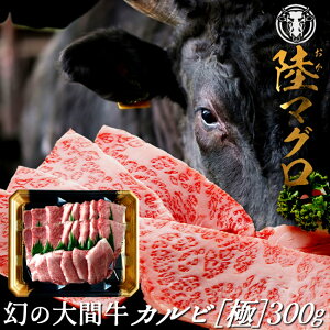 ̑ԋ ɏJr 300gu}Ov~ јa  ēp   tHׂĂ Md XԎY uh ̓mH̖o ӂ邳ƃMtgn