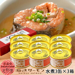 T[ Y CT[ ϊʋl߁m3n3Zbg XY ÌyC{B ɏT[ ϊʁi퉷ij ނs  YnmΕ NX}X ӂ邳ƃMtgn