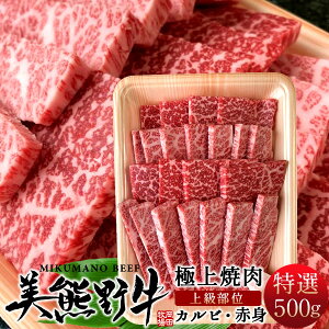 ēZbg500g  ̍јa F싍[I]JrԐgie250gjĂp ݂܂̂イ OdF cq lCʔ  Yn ̓mH̖o ӂ邳ƃMtgn