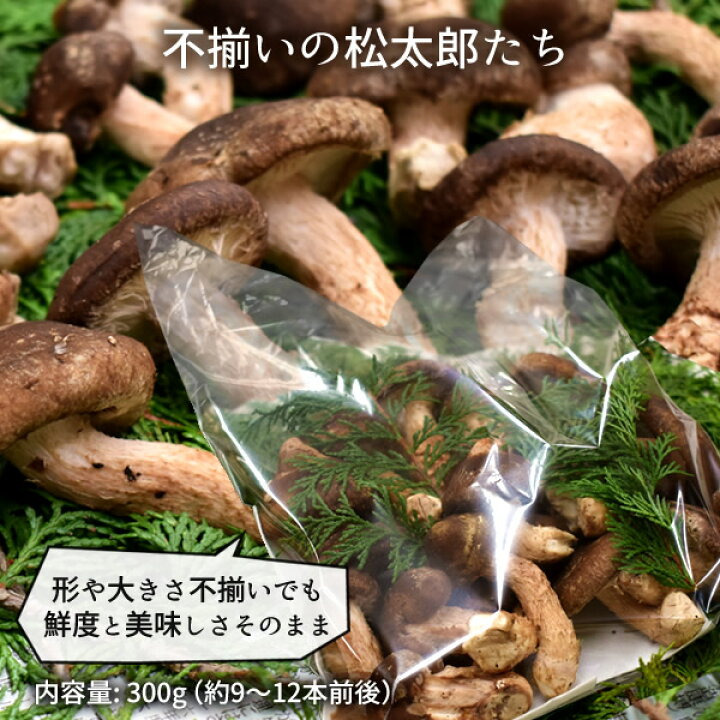 楽天市場】松太郎 きのこ【良品】300g（お試し不揃い）松茸×椎茸菌 