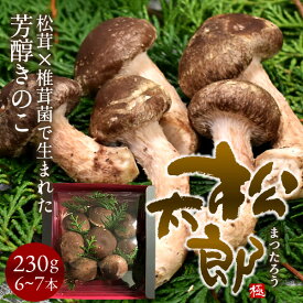 松太郎 きのこ【優品】230g（6～7本）松茸×椎茸菌 芳醇キノコ まつたろう マツタケなのか シイタケなのか 伊勢の国 三重県産 お取り寄せ おすすめ 産地直送 送料無料［ 父の日 ギフト プレゼント］