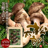 松太郎 きのこ［優品］450g（12-14本）松茸×椎茸菌 芳醇キノコ まつたろう マツタケなのか シイタケなの…