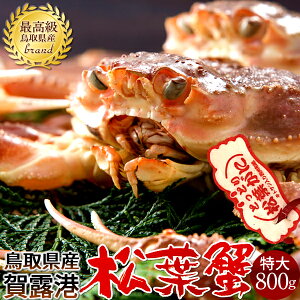 tKjmn800g ^Otmɋ2025ntI V ܂΂ 挧Y uh}coKj {CYCKjmH̖o ӂ邳ƃMtgn