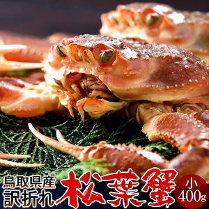 tKj 󂠂mBn400gmɋ2025n܂  tI V܂΂ 挧Y uh}coKj {CYCKjmΕ ӂ邳ƌΕMtgn