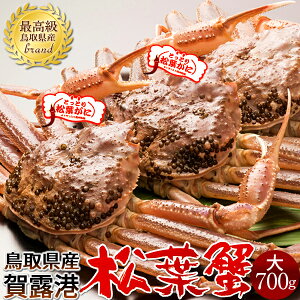 tKjmn700g×3 ^Otmɋ2025ntI V ܂΂ 挧Y uh}coKj {CYCKjmH̖o ӂ邳ƃMtgn