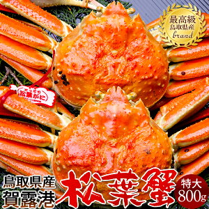 lŏtKjmn800g×2 ^Otmɋ2025n{CtI 䥂ŊI V 挧Y uh}coKj {CYCKjmH̖o ӂ邳ƃMtgn