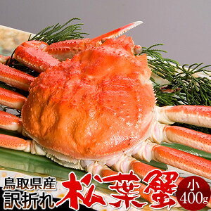 lŏtKj 󂠂mBn400gmɋ2025n܂ {CtI 䥂ŊI V 挧Y uh}coKj {CYCKjmH̖o ӂ邳ƃMtgn