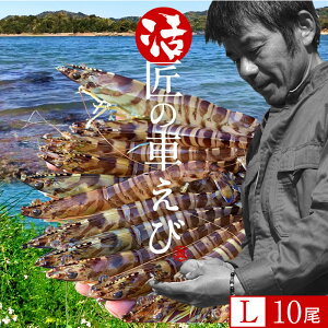 活 車海老の人気商品 通販 価格比較 価格 Com