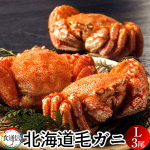 т 1.5kgi3j{C  kCY ъI p ii k̑n Yn  ߁mH̖o ӂ邳ƃMtgn