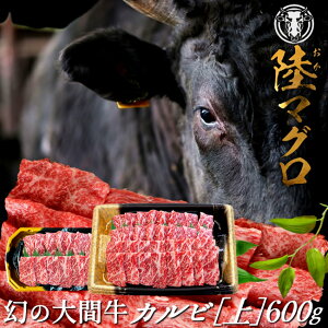 ̑ԋ Jr 600gu}Ov~ јa ēp   tHׂĂ Md XԎY uhmH̖o ӂ邳ƃMtgn