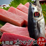 大間のマグロ400g［赤身・大トロセット 各200g］まぐろ 本鮪 クロマグロ 大間産 天然本マグロ 大間のまぐ…