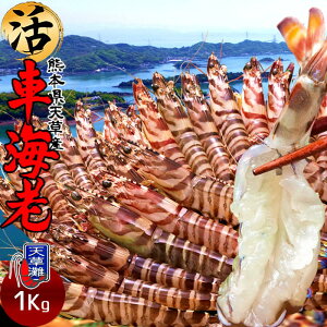 ԊCVm\11n܂ 1kgmML 30-44nԂ 炿 ԃGr hg F{Y V N}Gr   Hו xH Ԃ {B  Yn 