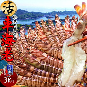 ԊCVm\11n܂ 3kgmML 90-132nԂ 炿 ԃGr hg F{Y V N}Gr   Hו xH Ԃ {B  Yn 