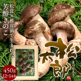 松太郎 きのこ［優品］450g（12-14本）松茸×椎茸菌 芳醇キノコ まつたろう マツタケなのか シイタケなのか 伊勢の国 三重県産 お取り寄せ おすすめ 産地直送 送料無料［お中元 夏の御中元ギフト］