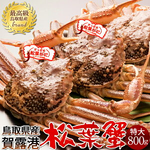 tKjmn800g×3 ^Otm2025 ɉցntI V ܂΂ 挧Y uh}coKj {CYCKjmH̖o ӂ邳ƃMtgn